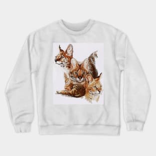 Adroit Crewneck Sweatshirt